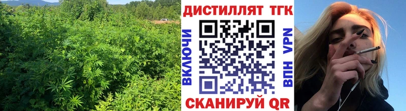 купить цена Кингисепп Дистиллят ТГК концентрат