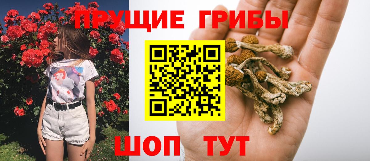 Кингисепп  Галлюциногенные грибы MAGIC MUSHROOMS  Галлюциногенные грибы мицелий  Вход с VPN 