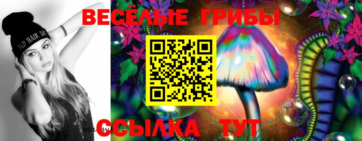 Псилоцибиновые грибы Cubensis Кингисепп